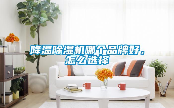降溫除濕機哪個品牌好，怎么選擇