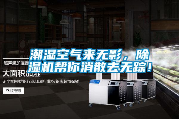 潮濕空氣來無影，除濕機(jī)幫你消散去無蹤！