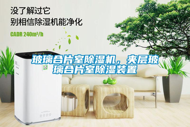 玻璃合片室除濕機(jī)，夾層玻璃合片室除濕裝置