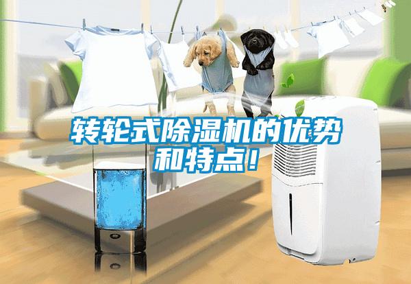 轉(zhuǎn)輪式除濕機的優(yōu)勢和特點！