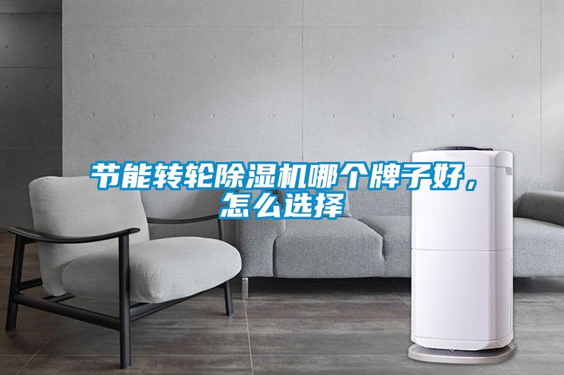 節(jié)能轉(zhuǎn)輪除濕機(jī)哪個(gè)牌子好，怎么選擇