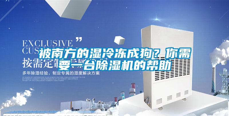 被南方的濕冷凍成狗？你需要一臺除濕機的幫助