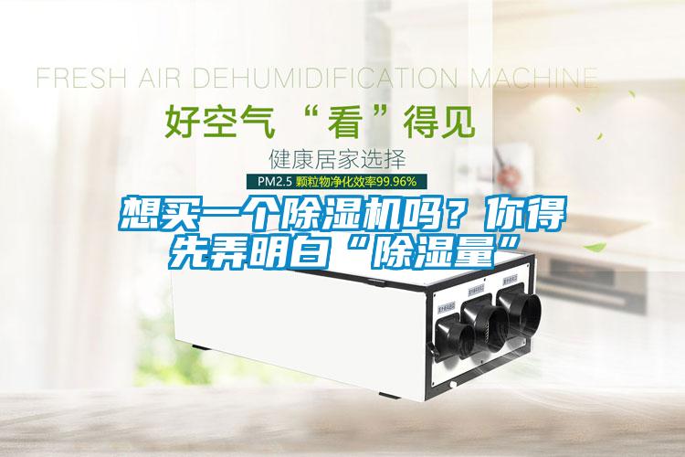 想買一個除濕機嗎？你得先弄明白“除濕量”