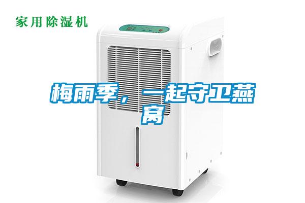 梅雨季，一起守衛(wèi)燕窩