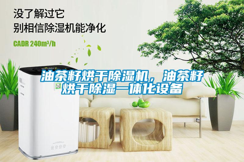 油茶籽烘干除濕機(jī)，油茶籽烘干除濕一體化設(shè)備