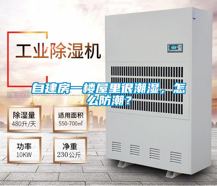 自建房一樓屋里很潮濕，怎么防潮？