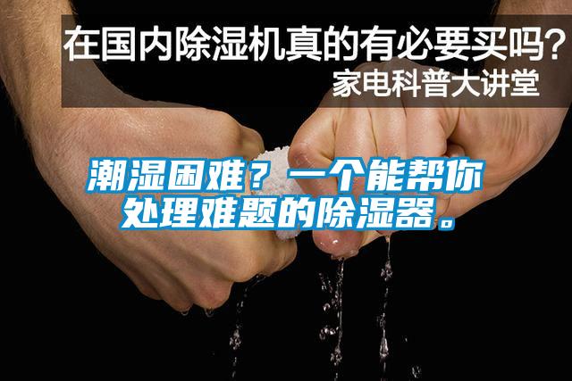 潮濕困難？一個(gè)能幫你處理難題的除濕器。