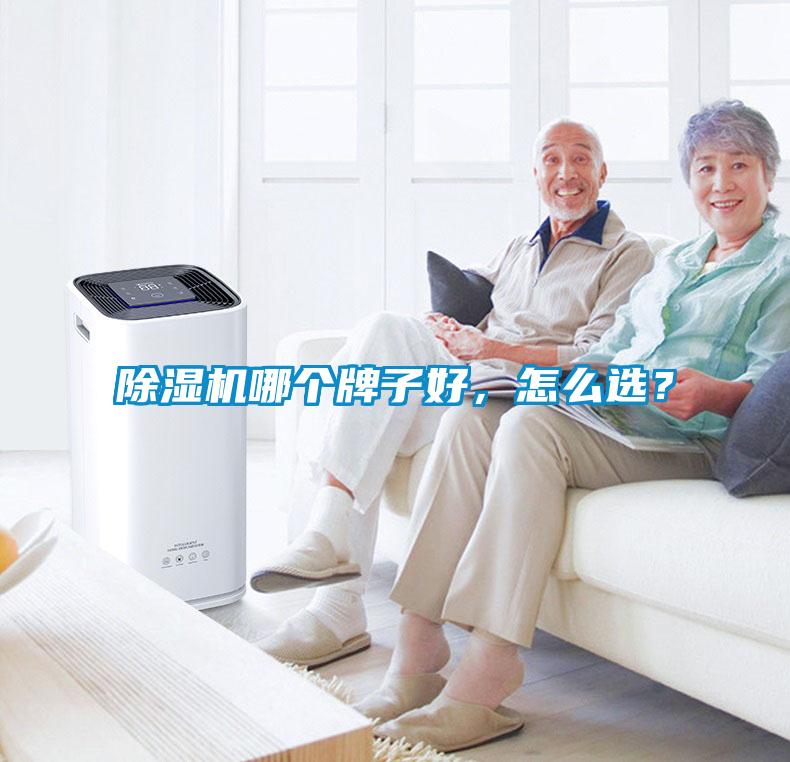 除濕機哪個牌子好，怎么選？