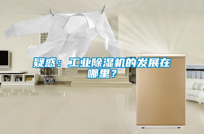 疑惑：工業(yè)除濕機(jī)的發(fā)展在哪里？