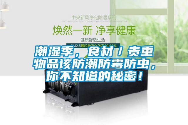 潮濕季，食材／貴重物品該防潮防霉防蟲，你不知道的秘密！
