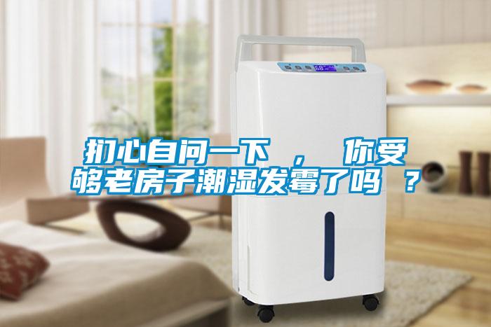 捫心自問一下 ， 你受夠老房子潮濕發(fā)霉了嗎 ？