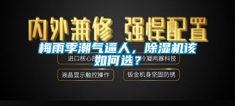梅雨季潮氣逼人，除濕機該如何選？