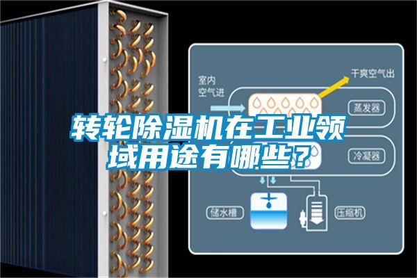 轉(zhuǎn)輪除濕機在工業(yè)領域用途有哪些？