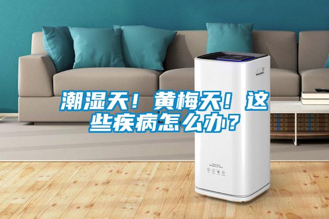 潮濕天！黃梅天！這些疾病怎么辦？