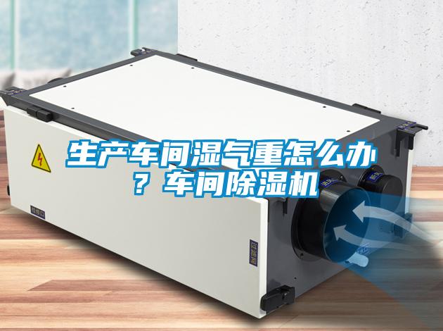 生產(chǎn)車間濕氣重怎么辦？車間除濕機(jī)