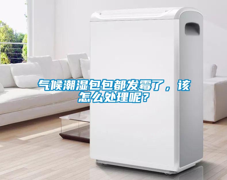 氣候潮濕包包都發(fā)霉了，該怎么處理呢？