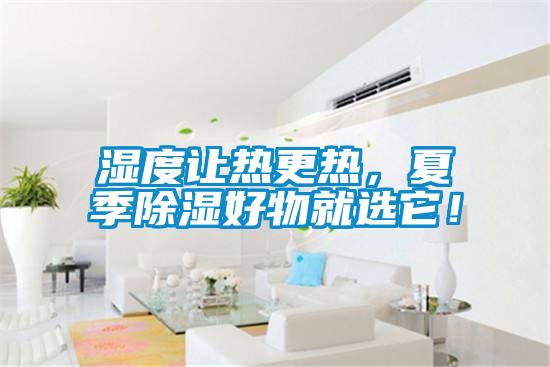 濕度讓熱更熱，夏季除濕好物就選它！