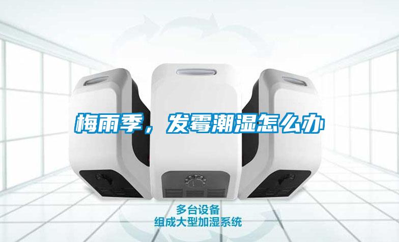 梅雨季，發(fā)霉潮濕怎么辦