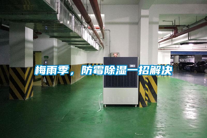 梅雨季，防霉除濕一招解決