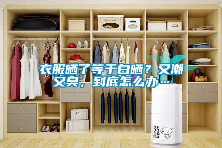 衣服曬了等于白曬？又潮又臭，到底怎么辦…