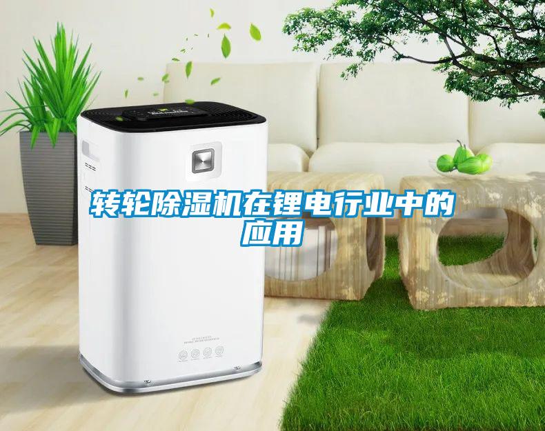 轉(zhuǎn)輪除濕機在鋰電行業(yè)中的應用