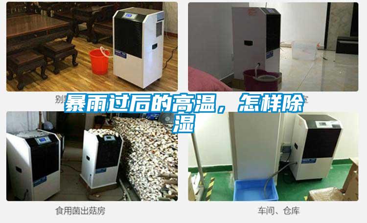 暴雨過(guò)后的高溫，怎樣除濕