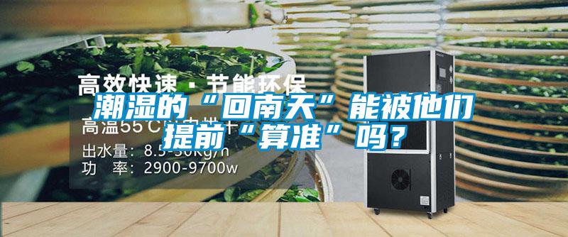 潮濕的“回南天”能被他們提前“算準”嗎？