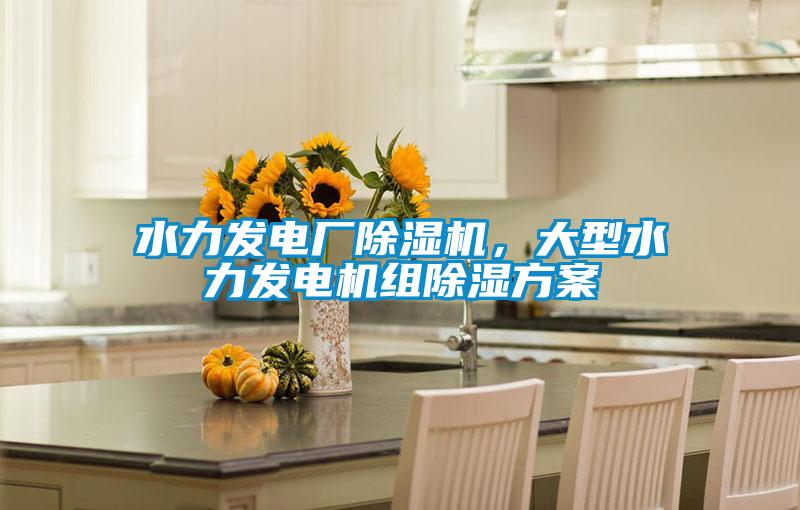 水力發(fā)電廠除濕機(jī)，大型水力發(fā)電機(jī)組除濕方案