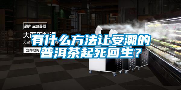 有什么方法讓受潮的普洱茶起死回生？