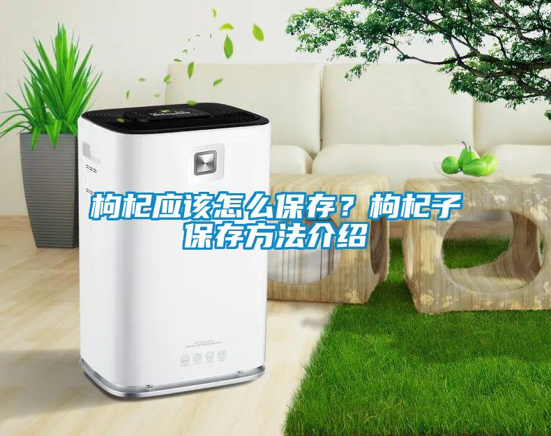 枸杞應(yīng)該怎么保存？枸杞子保存方法介紹
