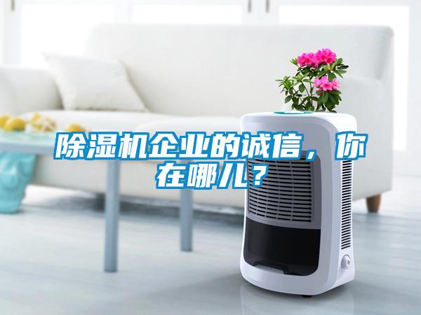 除濕機(jī)企業(yè)的誠(chéng)信，你在哪兒？