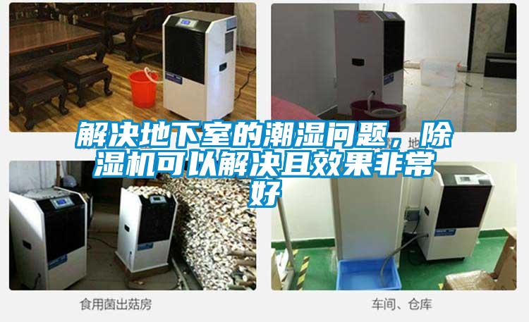 解決地下室的潮濕問題，除濕機可以解決且效果非常好