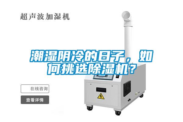潮濕陰冷的日子，如何挑選除濕機？