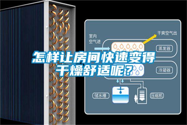 怎樣讓房間快速變得干燥舒適呢？