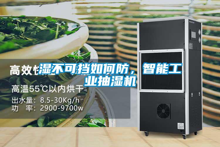 濕不可擋如何防，智能工業(yè)抽濕機