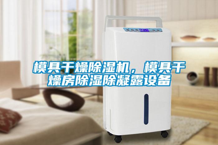 模具干燥除濕機(jī)，模具干燥房除濕除凝露設(shè)備