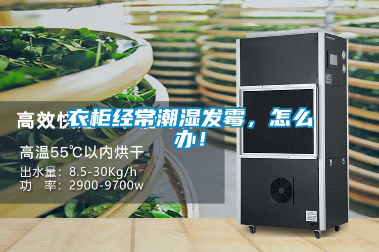 衣柜經(jīng)常潮濕發(fā)霉，怎么辦！