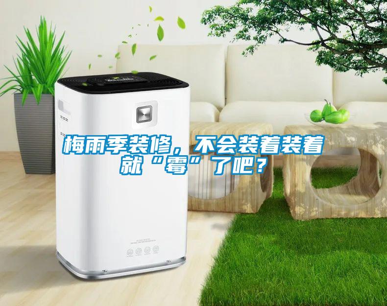 梅雨季裝修，不會裝著裝著就“霉”了吧？