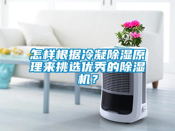 怎樣根據(jù)冷凝除濕原理來挑選優(yōu)秀的除濕機？