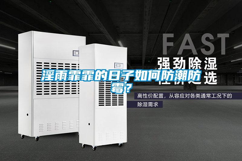 淫雨霏霏的日子如何防潮防霉？