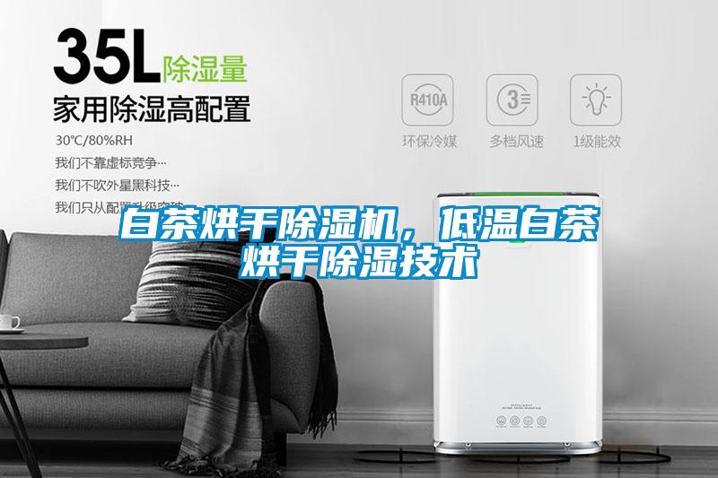 白茶烘干除濕機(jī)，低溫白茶烘干除濕技術(shù)