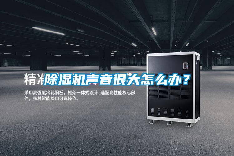 除濕機(jī)聲音很大怎么辦？
