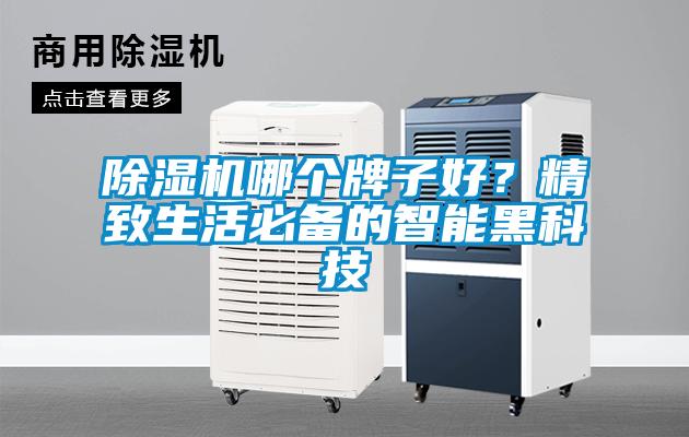 除濕機哪個牌子好？精致生活必備的智能黑科技