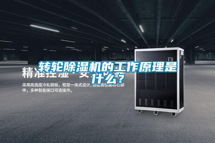 轉輪除濕機的工作原理是什么？