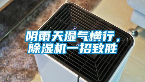 陰雨天濕氣橫行，除濕機一招致勝