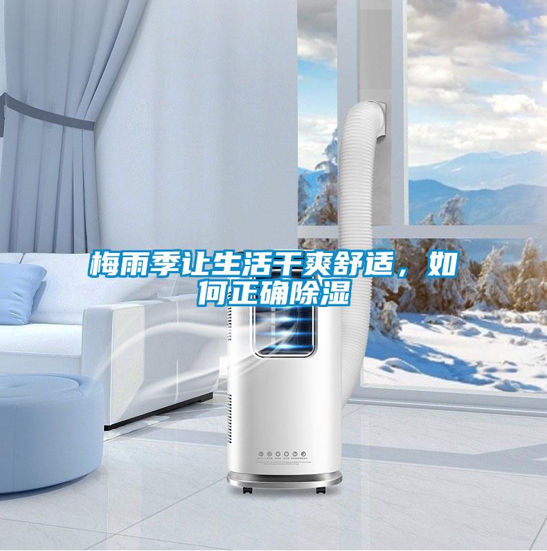 梅雨季讓生活干爽舒適，如何正確除濕