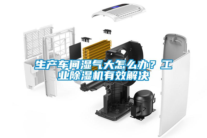 生產(chǎn)車間濕氣大怎么辦？工業(yè)除濕機(jī)有效解決