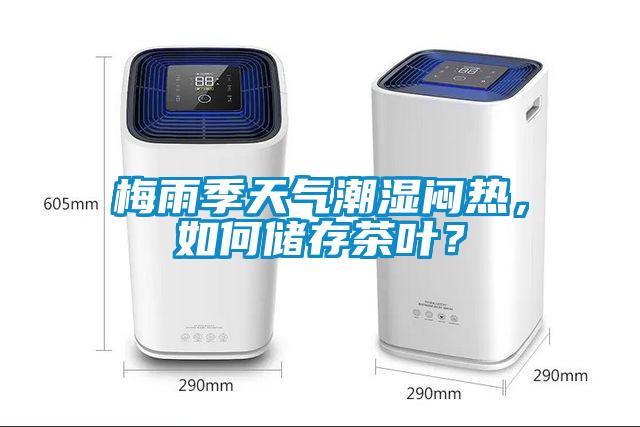 梅雨季天氣潮濕悶熱，如何儲(chǔ)存茶葉？