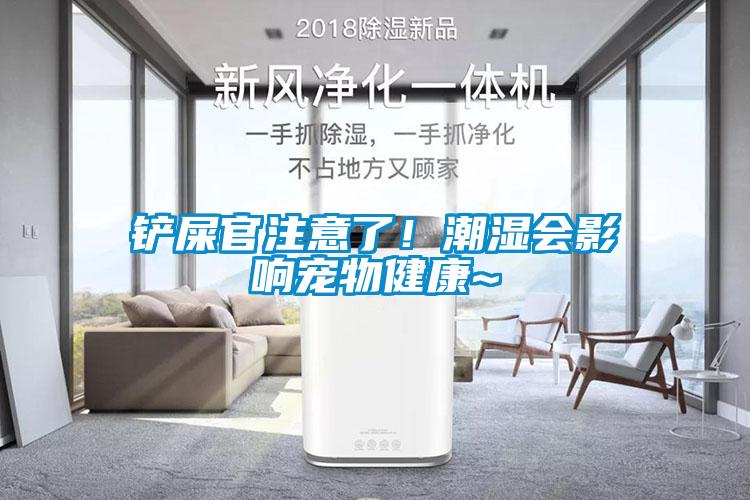 鏟屎官注意了！潮濕會(huì)影響寵物健康~