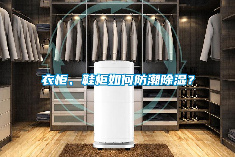 衣柜、鞋柜如何防潮除濕？